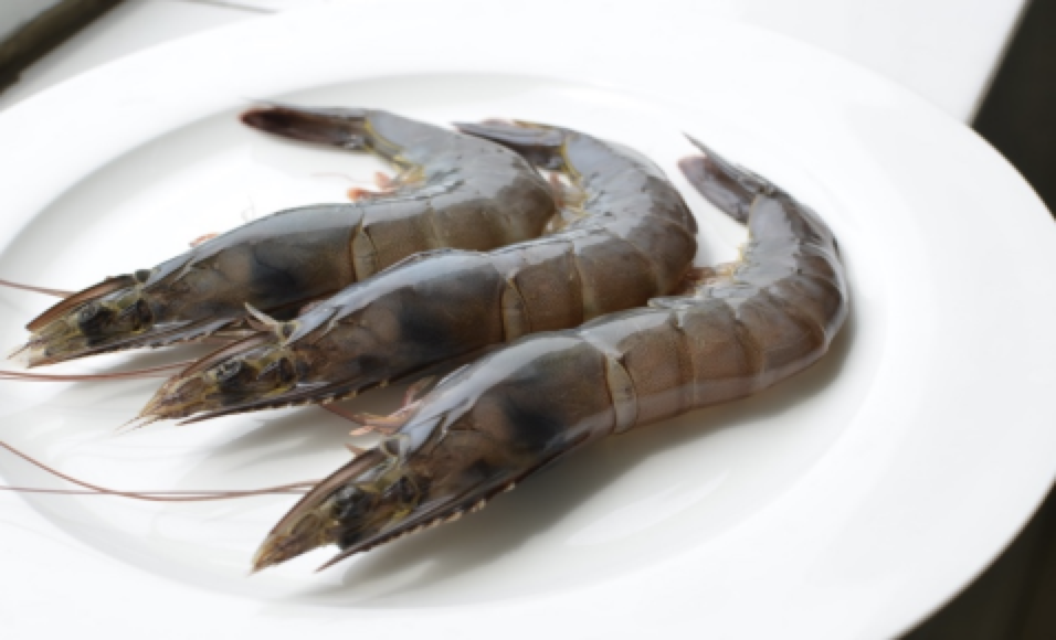 Head On Shell On Shrimp